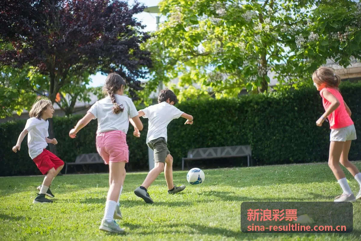 新浪彩票号码组合生成器界面
